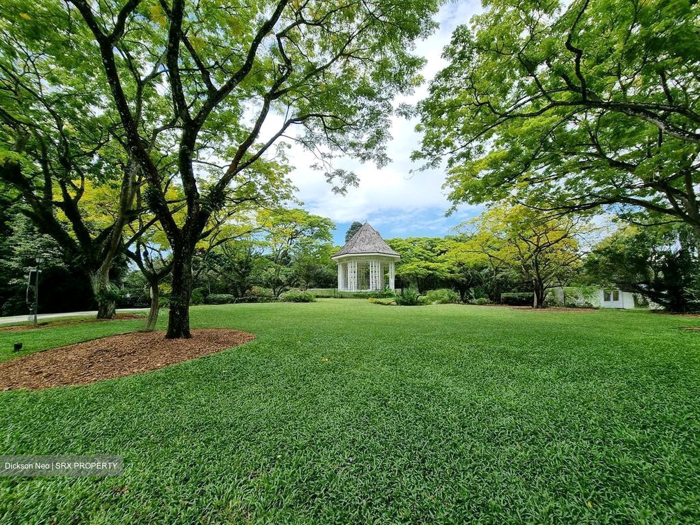 College Green (D11), Detached #497705281